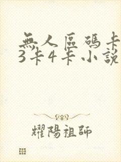 无人区码卡二卡3卡4卡小说
