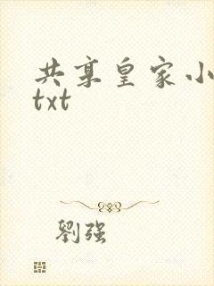 共享皇家小公主txt