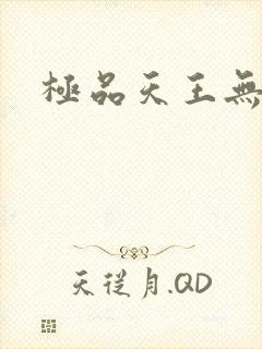 极品天王无弹窗