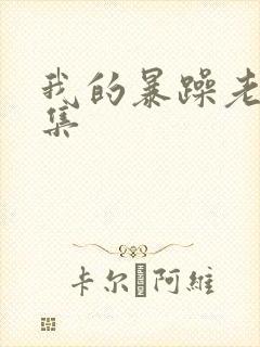 我的暴躁老妈全集