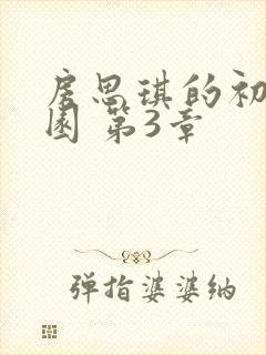 房思琪的初恋乐园 第3章