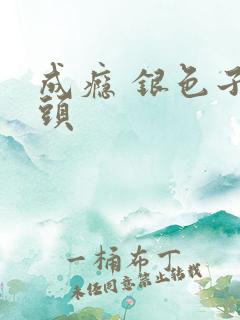 成瘾 银色子弹头