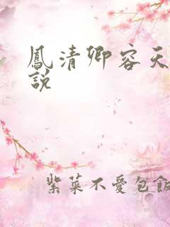 凤清卿容天凌小说