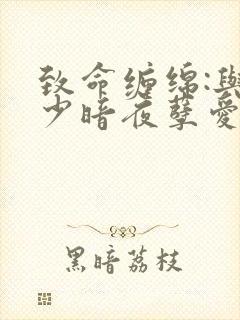 致命缠绵:与冷少暗夜孽爱