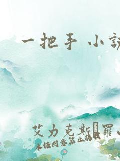 一把手 小说
