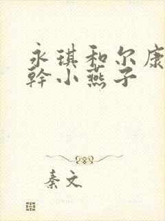 永琪和尔康一起干小燕子