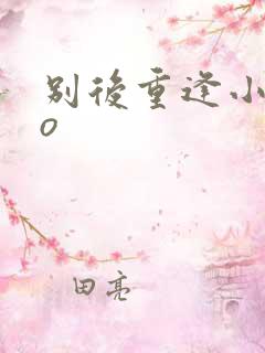 别后重逢小说po