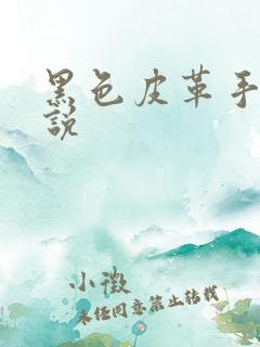 黑色皮革手册小说