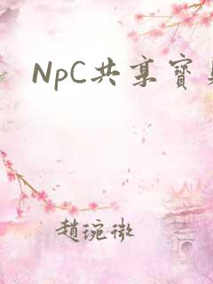 NpC共享宝贝
