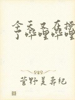 今天又在撩后妈了哔哩哔哩小说