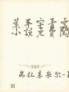 叶平宇青云直上小说免费阅读