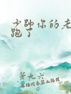 少帅你的老婆又跑了