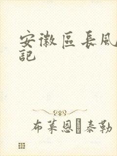安徽区长风流日记