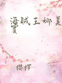 海贼王娜美h罗宾