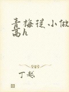青梅从小做到大高h