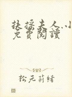 扶摇夫人.小说免费阅读