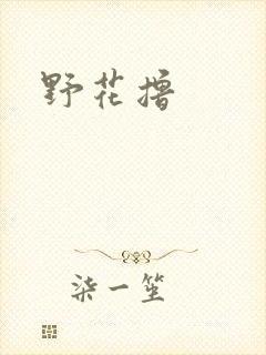 野花撸