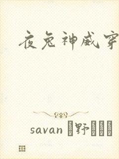 夜兔神威穿越