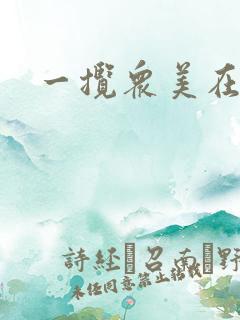 一揽众美在三国