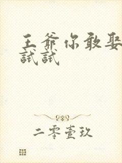 王爷你敢娶小三试试