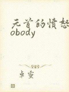 元首的愤怒之nobody