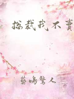 总裁我不卖宝宝