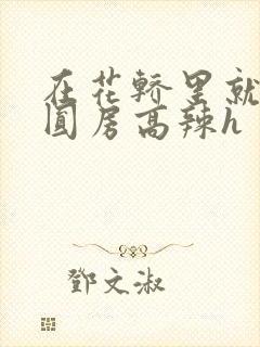 在花轿里就开始圆房高辣h