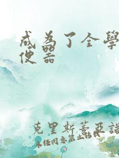 成为了全学校坐便器