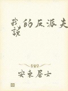 我的反派夫君小说