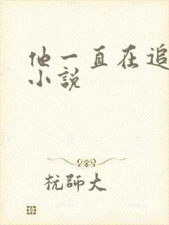 他一直在追初恋小说