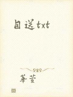 目送txt