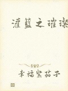 灌篮之璀璨生涯