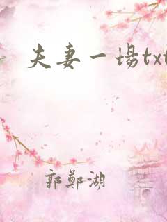 夫妻一场txt