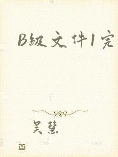 B级文件1完整