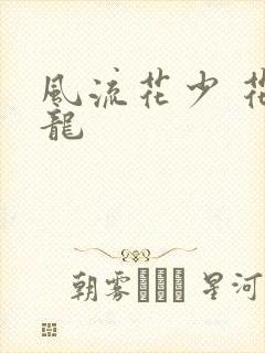 风流花少 花睿龙