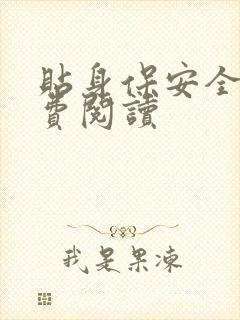 贴身保安全文免费阅读