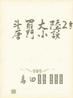 斗罗大陆2绝世唐门小说