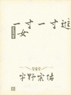 一寸一寸进入小姪女