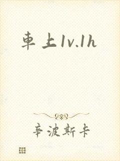 车上1v.1h