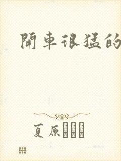 开车很猛的古文