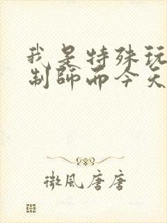 我是特殊玩具定制师而今天的客户