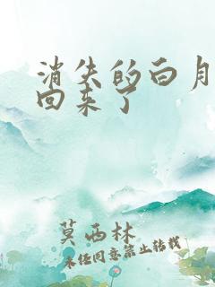 消失的白月光又回来了