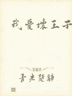 我爱坏王子