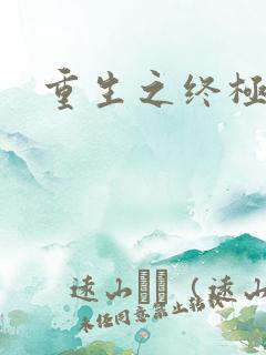 重生之终极杀手