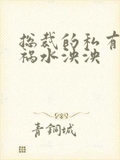 总裁的私有宝贝祸水泱泱