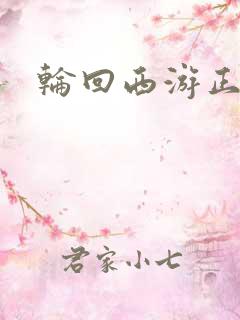 轮回西游正式版