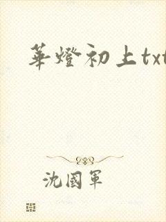 华灯初上txt