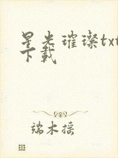 星光璀璨txt下载