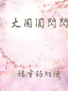 大团圆闪闪发光