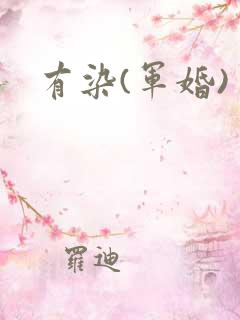 有染(军婚)